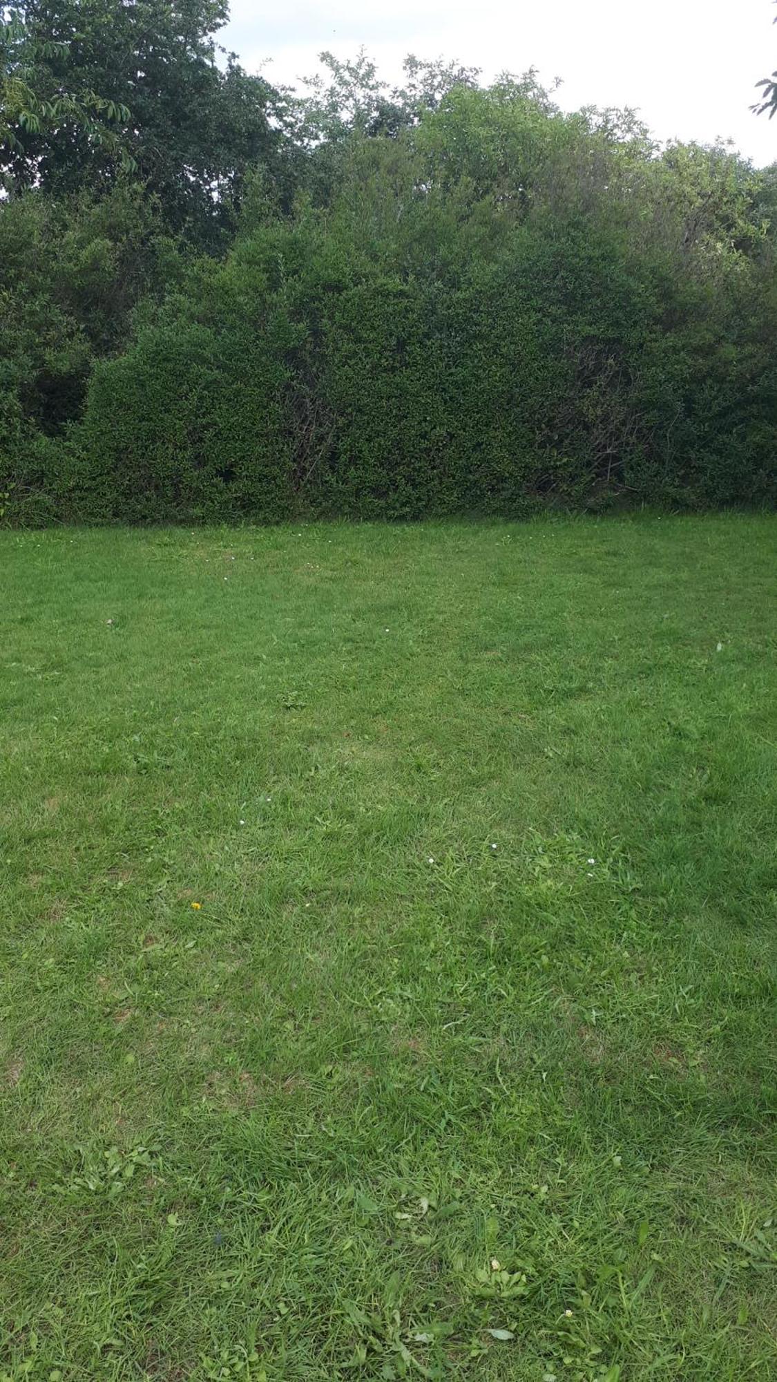 Grindsted Aktiv Camping & Cottages Extérieur photo