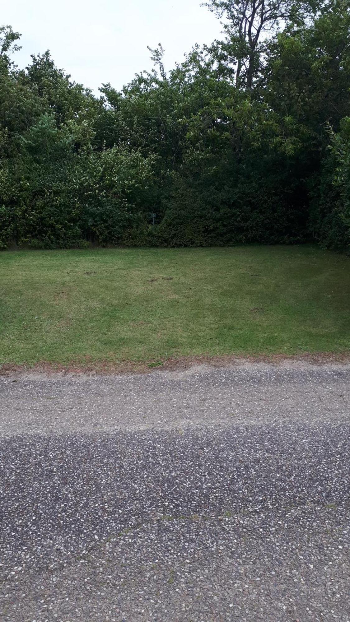 Grindsted Aktiv Camping & Cottages Extérieur photo